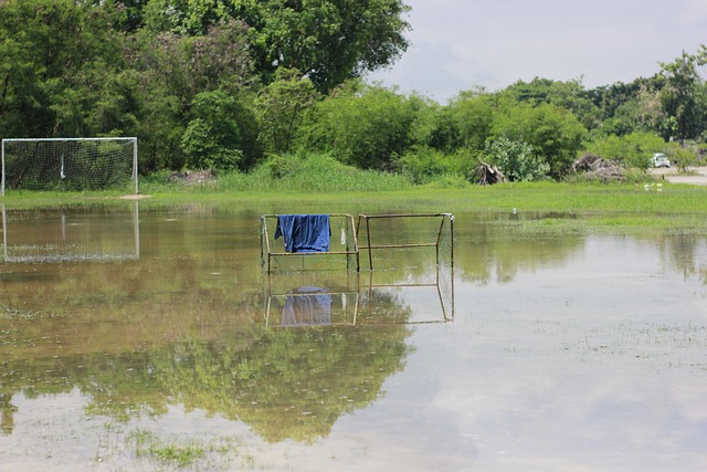 转会市场中 转会市场中