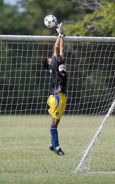 他迅速在球 他迅速在球