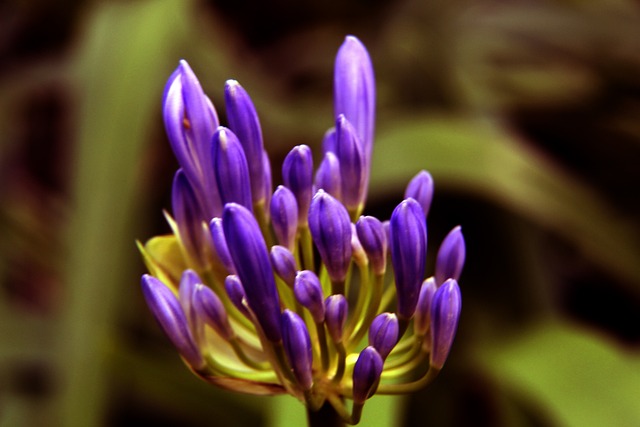 稳固篮下 稳固篮下