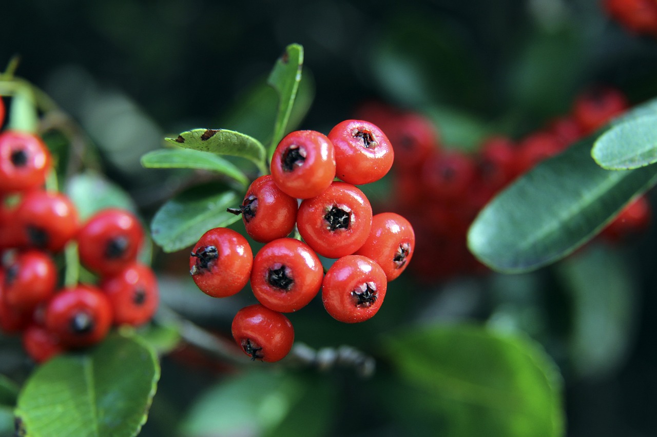 塔图姆的出 塔图姆的出