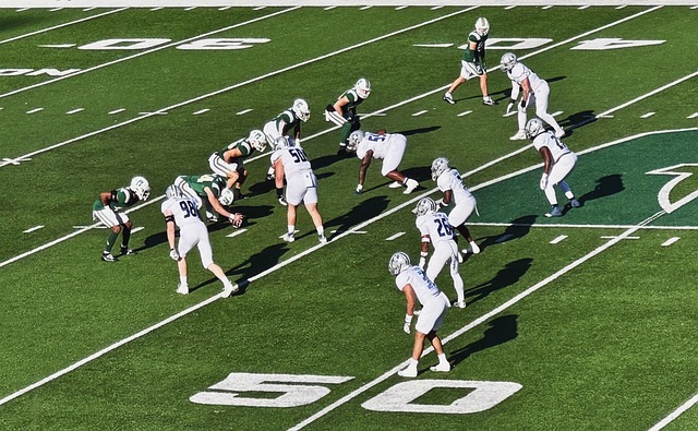 尽管球队仍 尽管球队仍