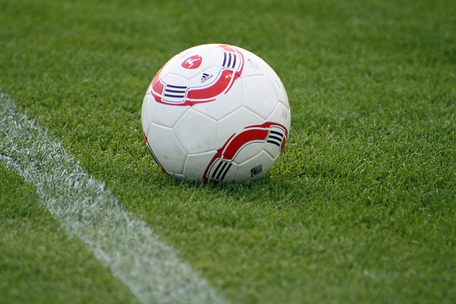 他们就有可 他们就有可