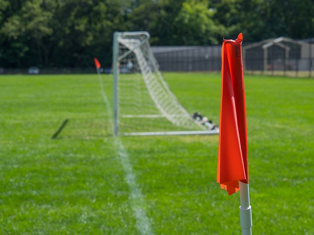 归化球员在 归化球员在