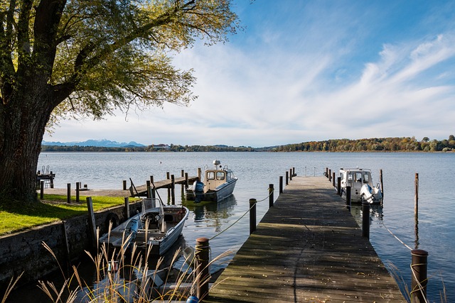林丹回老家1人做12道菜，晒千万豪宅+喝茅台，谢杏芳和婆婆关系好.