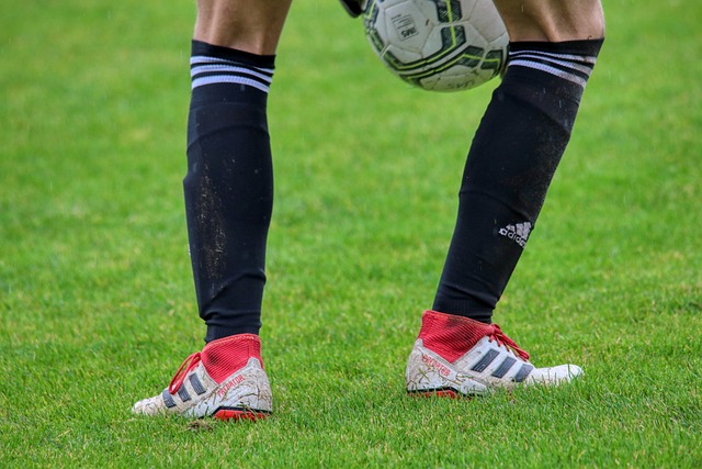 新华社权威快报｜殷墟、三星堆……“考古中国”重大项目有新进展！.