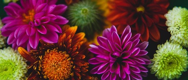 独行侠势必 独行侠势必