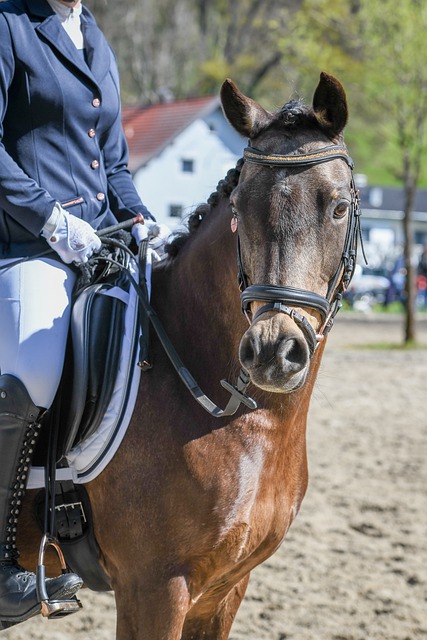 歐聯全攻略｜ 巴塞隆拿征多蒙特　客場「大」特賣.