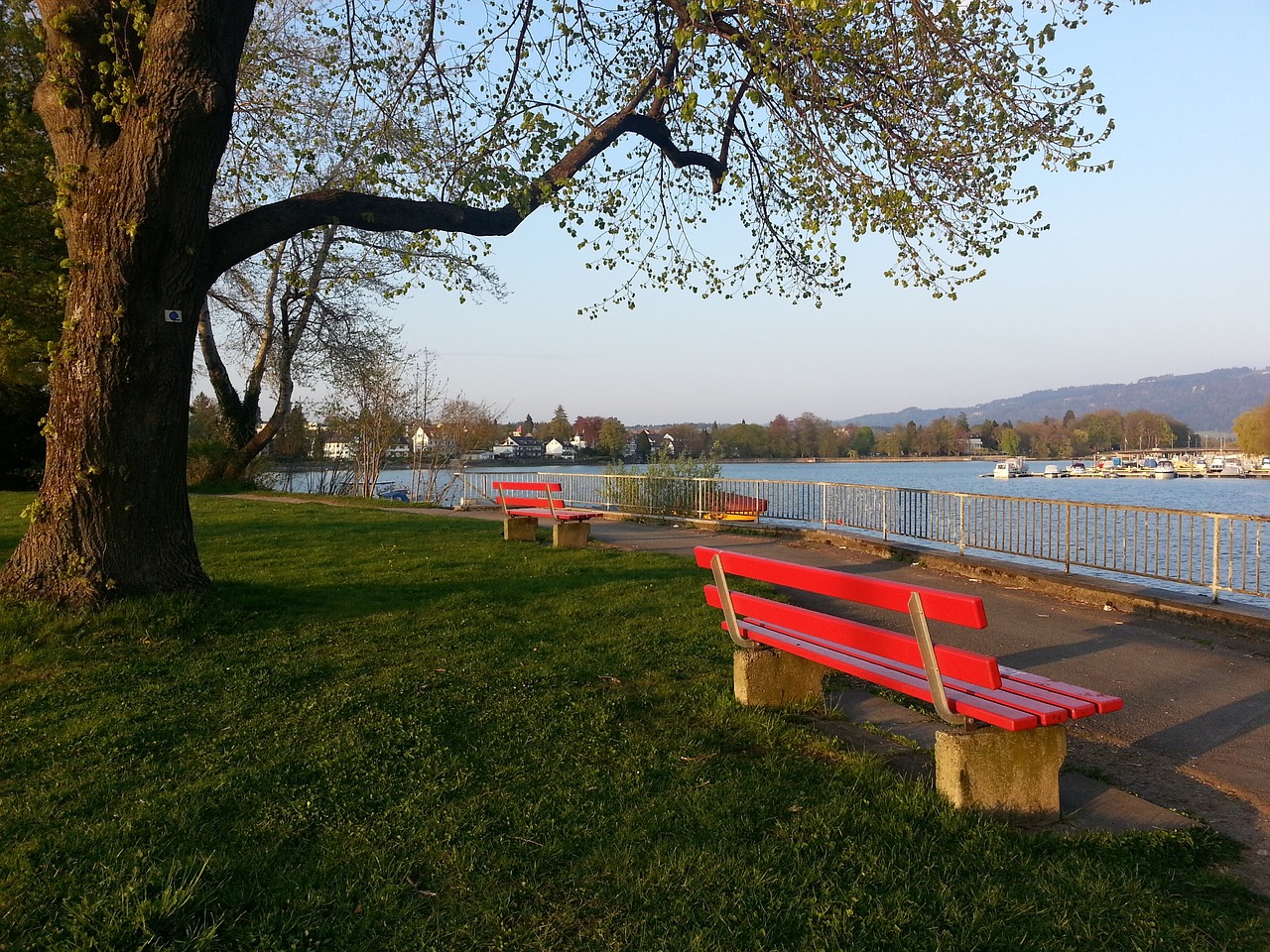 斯基拉：那不勒斯即将与奥利韦拉续约至2030年，年薪220万欧.