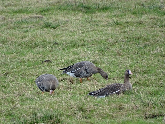 曝孔帕尼奥欲转投韩国豪门 2年合同年薪达150万欧.