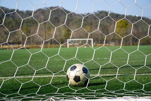 的运营策略 的运营策略