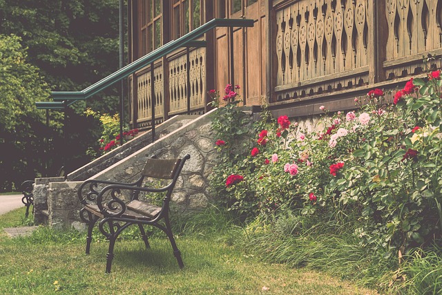 冬训｜以赛代练，龙年收官.