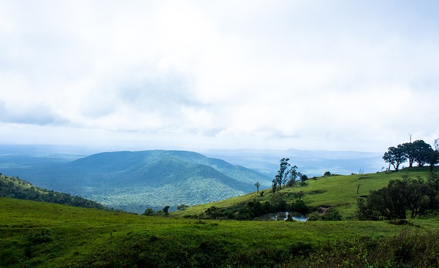 场双赢的选 场双赢的选