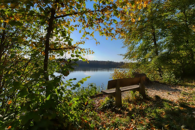 曼联拒绝加纳乔参加奥运会 阿根廷U23锋线失一悍将.